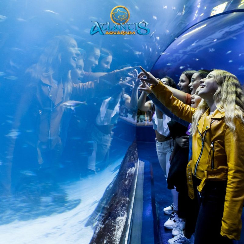 Atlantis Aquarium Madrid